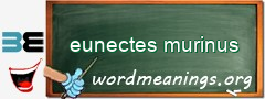 WordMeaning blackboard for eunectes murinus